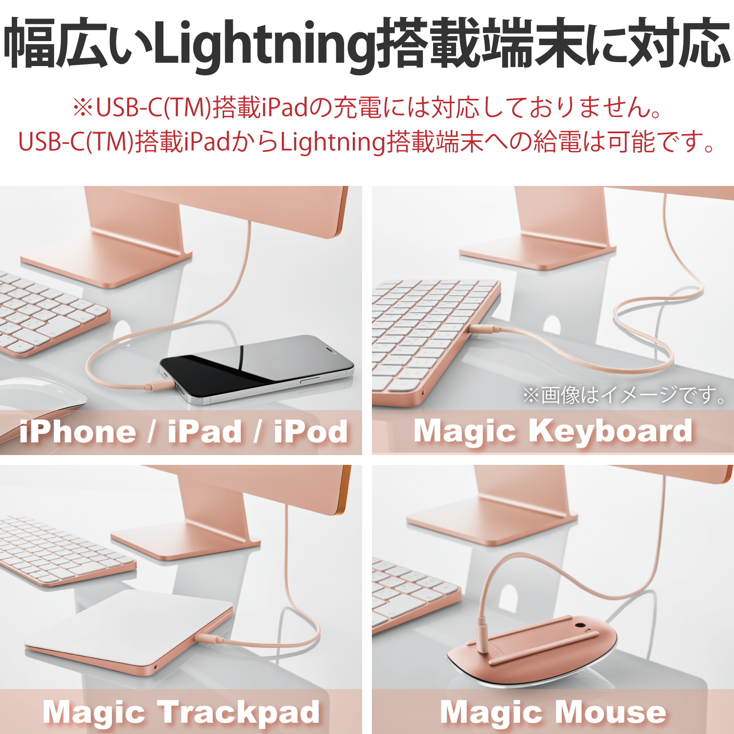 USB-C(TM) to Lightningケーブル(スタンダード) | エレコムダイレクト