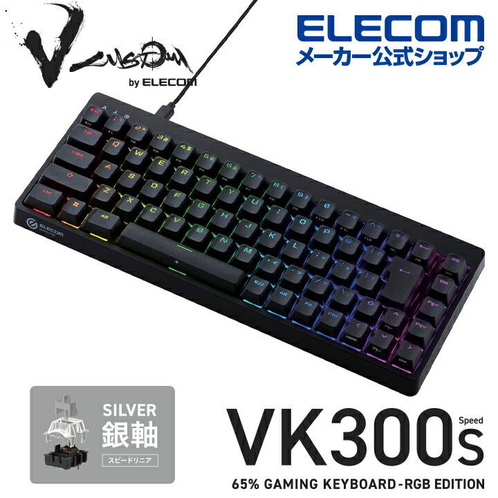V　custom　VK300S