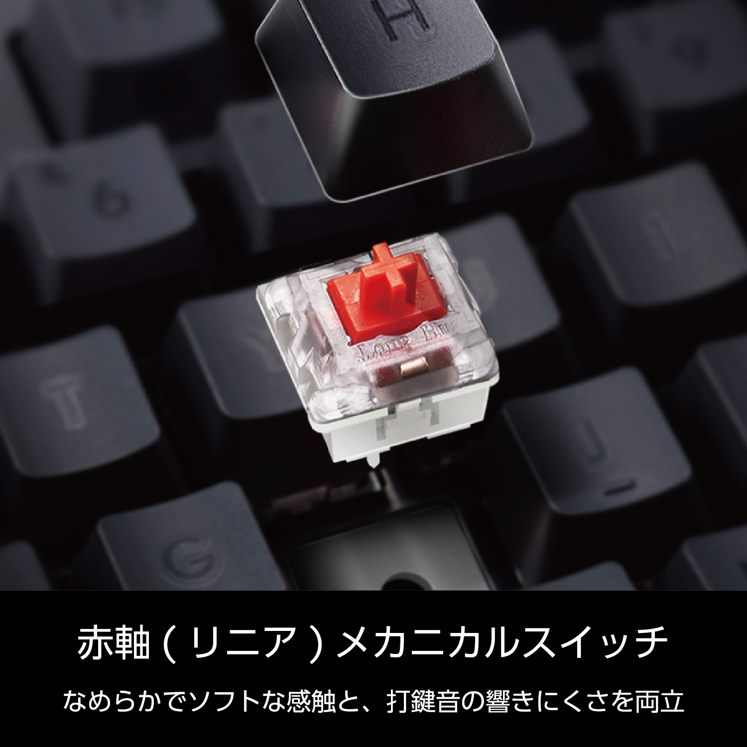 有線メカニカルフルキーボード | エレコムダイレクトショップ本店はPC