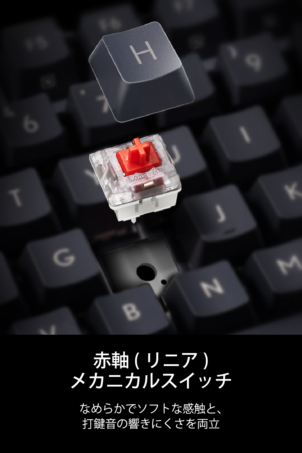 有線メカニカルフルキーボード | エレコムダイレクトショップ本店はPC