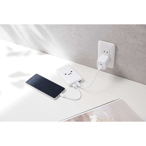 薄型コンパクトモバイルバッテリー(10000mAh/20W/C×1+A×2