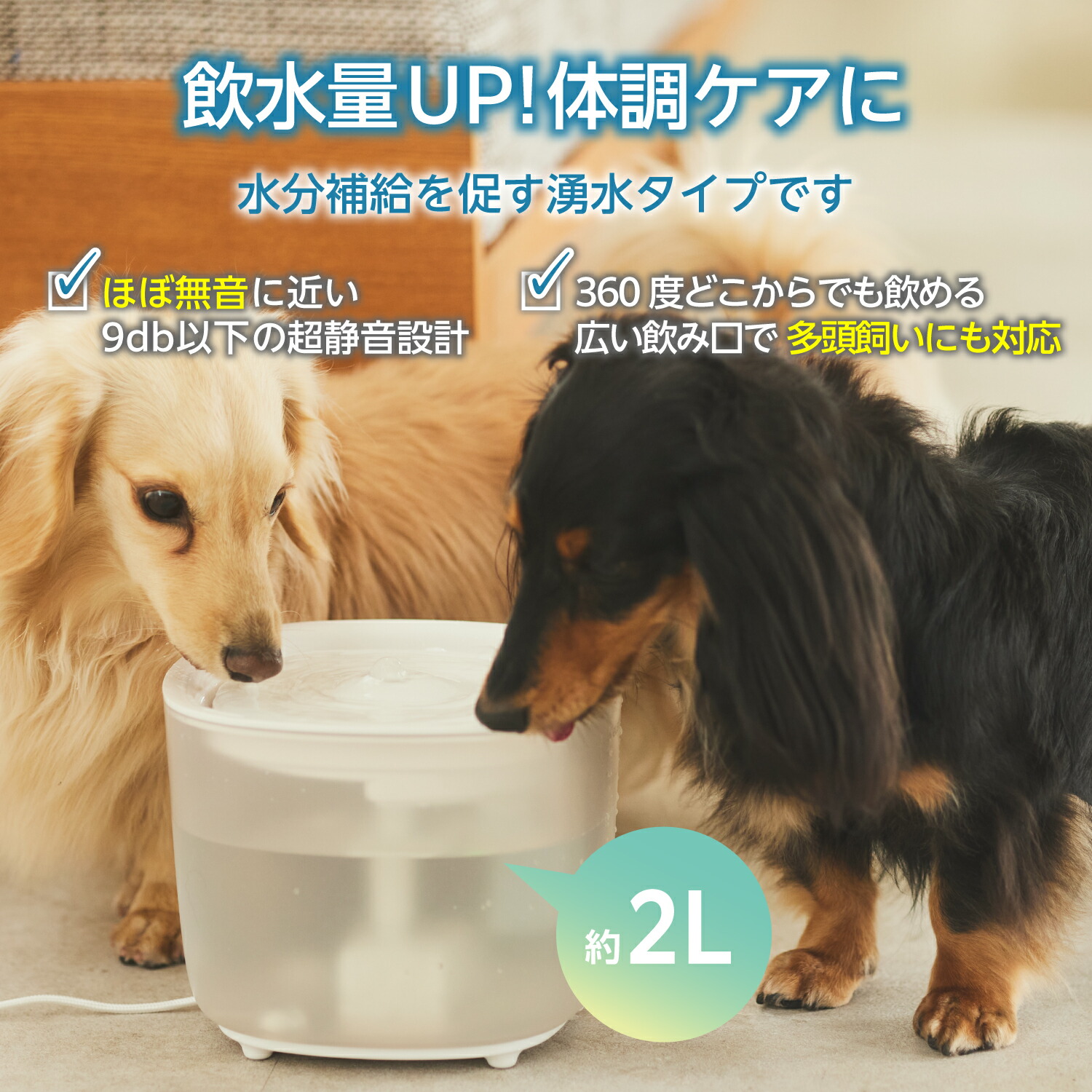 感電 ペット給水器 安い