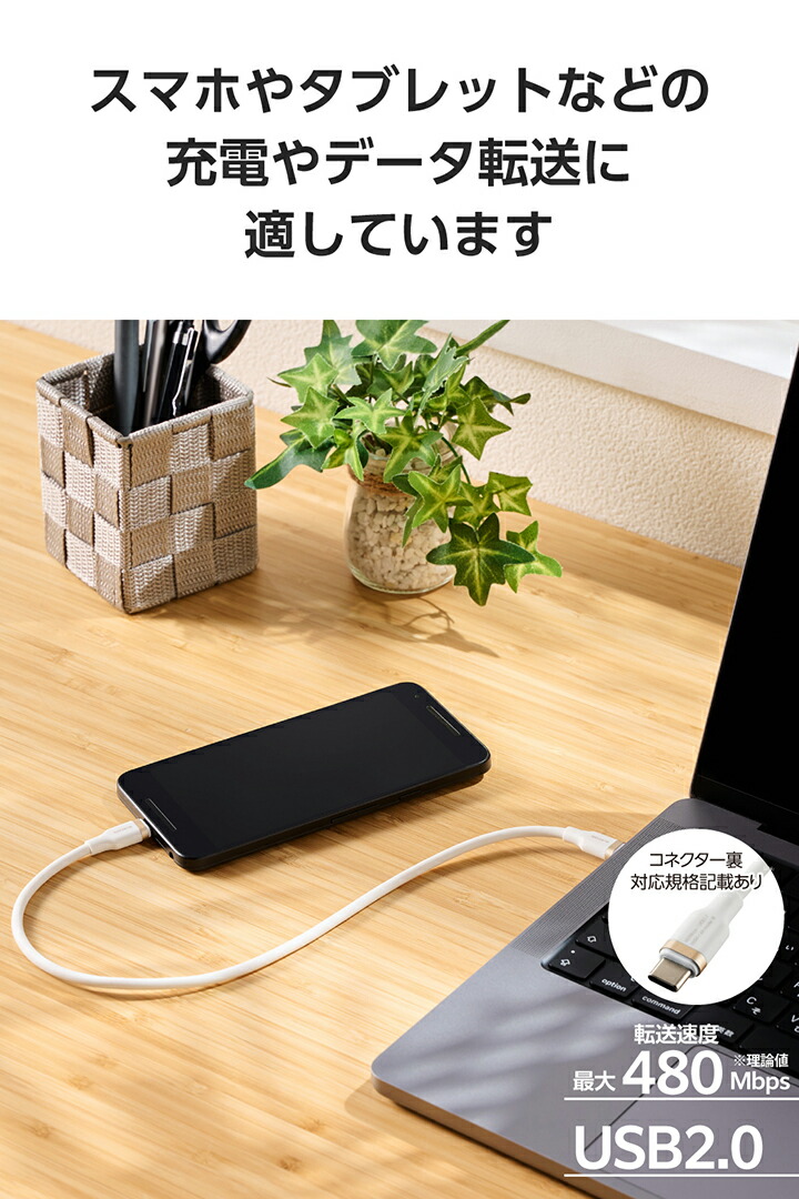 USB Type-C(TM) - USB Type-Cケーブル(USB2.0/100W/なめらか