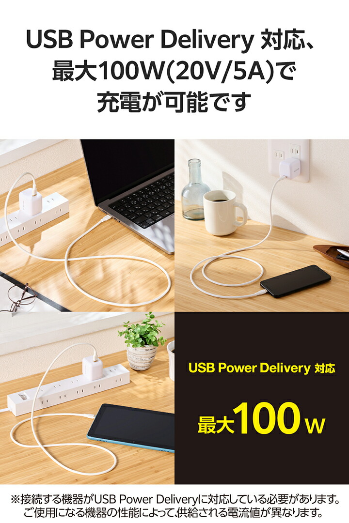 USB Type-C(TM) - USB Type-Cケーブル(USB2.0/100W/なめらか