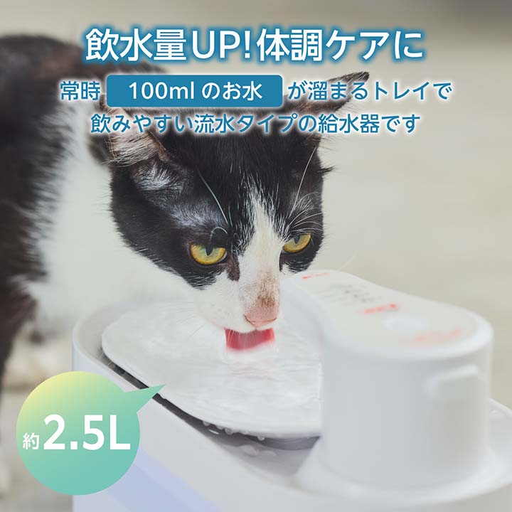 ペット 飲水用の器 安い