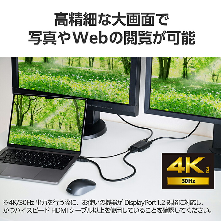 HDMI(R)分配器 (入力1/出力2) | エレコムダイレクトショップ本店はPC