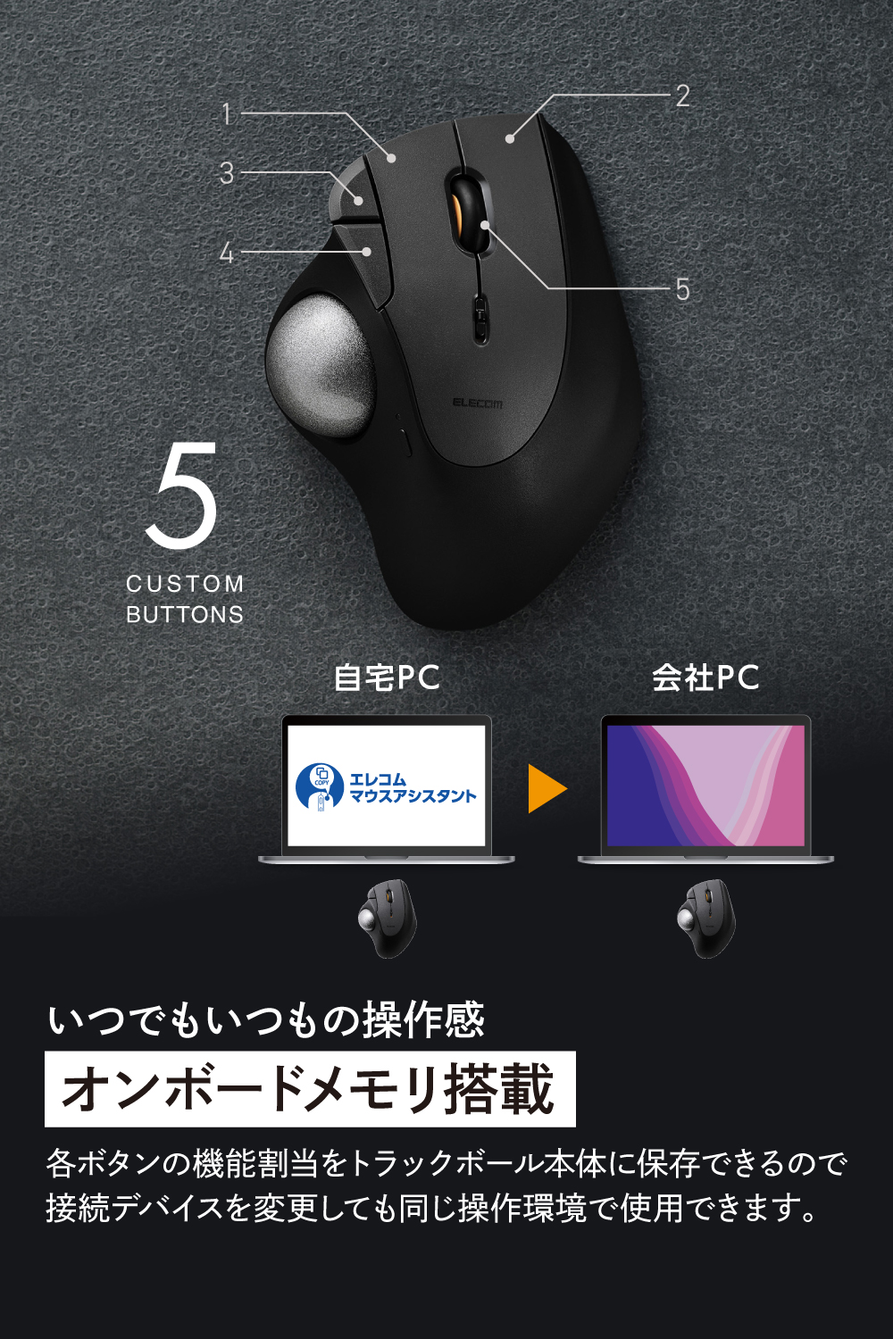 トラックボール“IST PLUS”(親指操作タイプ)ベアリング | エレコム