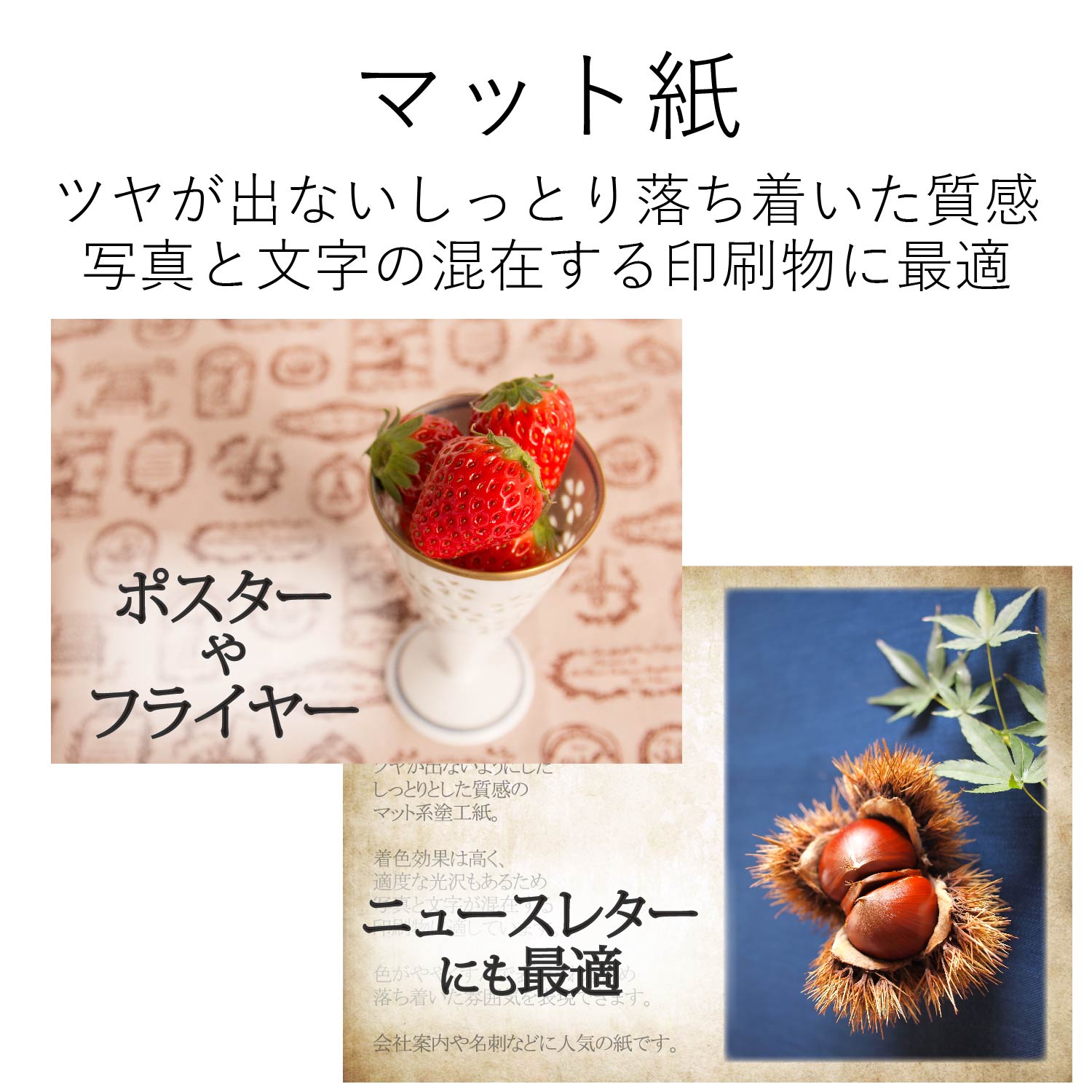 きれいなスーパーファイン用紙 | エレコムダイレクトショップ本店はPC