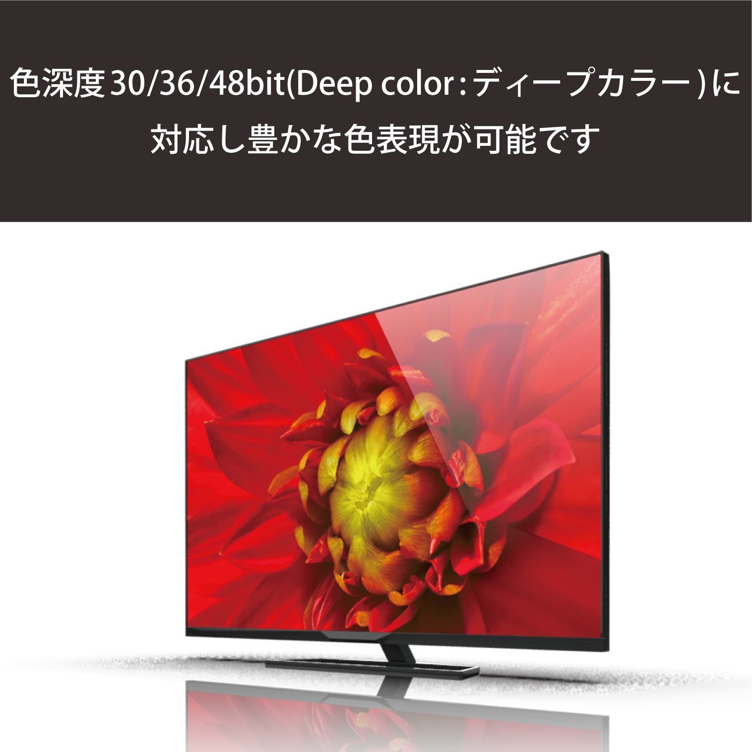 ハイスピードHDMI(R)ケーブル(Type-A - Type-C) | エレコムダイレクト