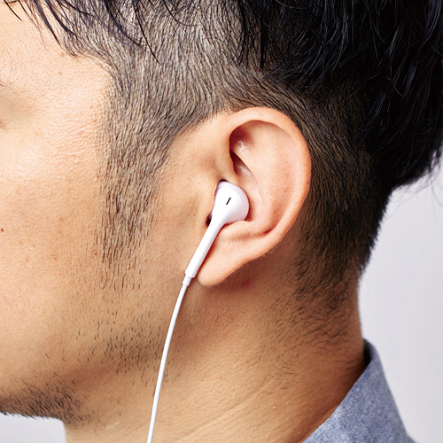 EarPods用イヤホンカバー(カナルタイプ) | エレコムダイレクトショップ 